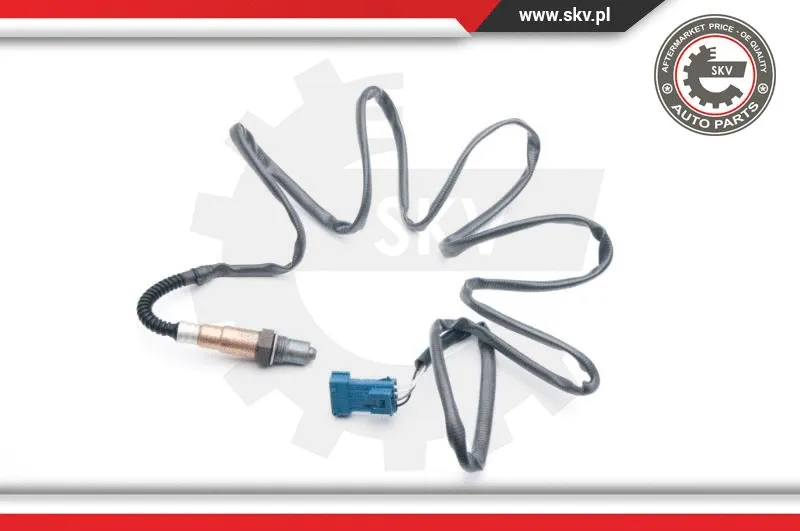 Lambda Sensor (09SKV699)