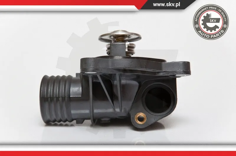 Thermostat, coolant (20SKV001)
