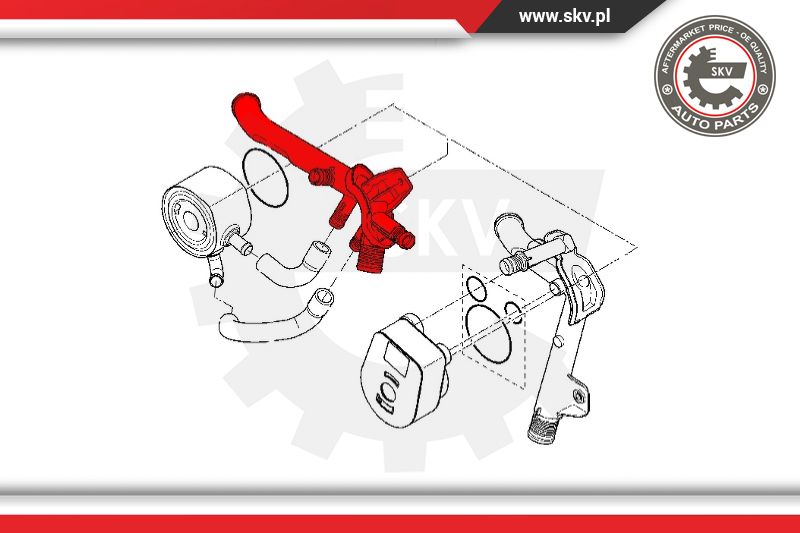 Radiator Hose