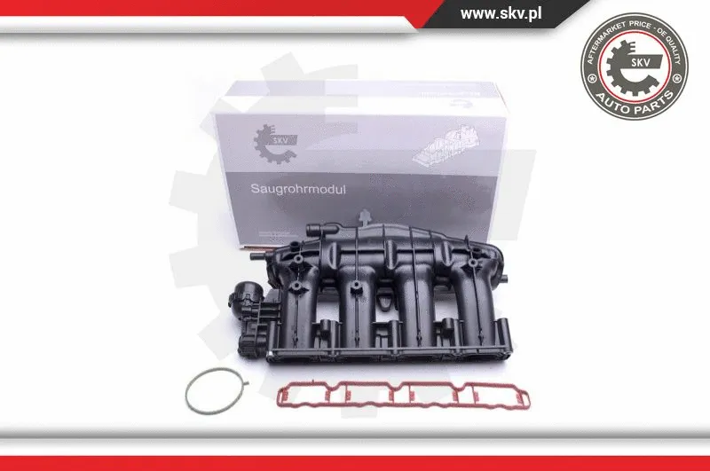Intake Manifold Module (49SKV028)