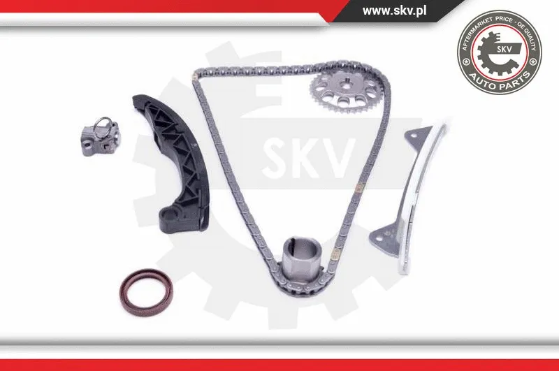 Timing Chain Kit