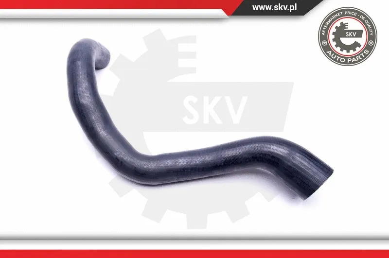 Charge Air Hose (43SKV172)