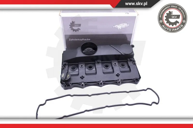 Cylinder Head Cover (48SKV045)