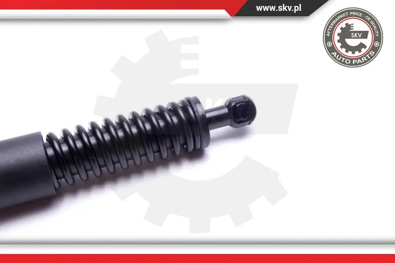 Gas Spring, boot/cargo area