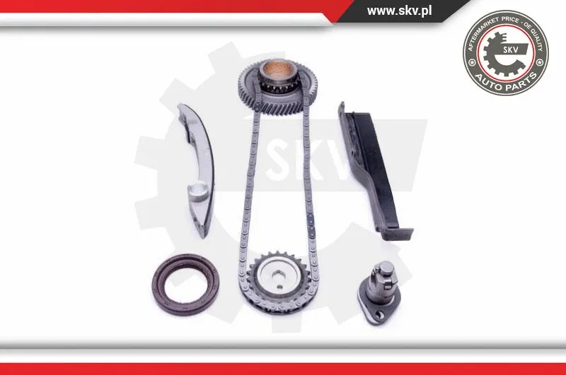 Timing Chain Kit