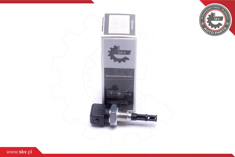 Sensor, intake air temperature (17SKV690)