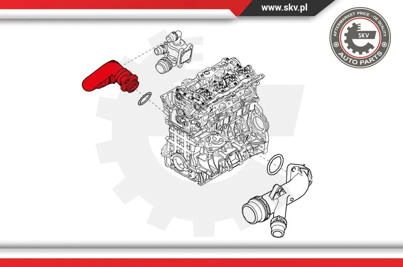 Radiator Hose