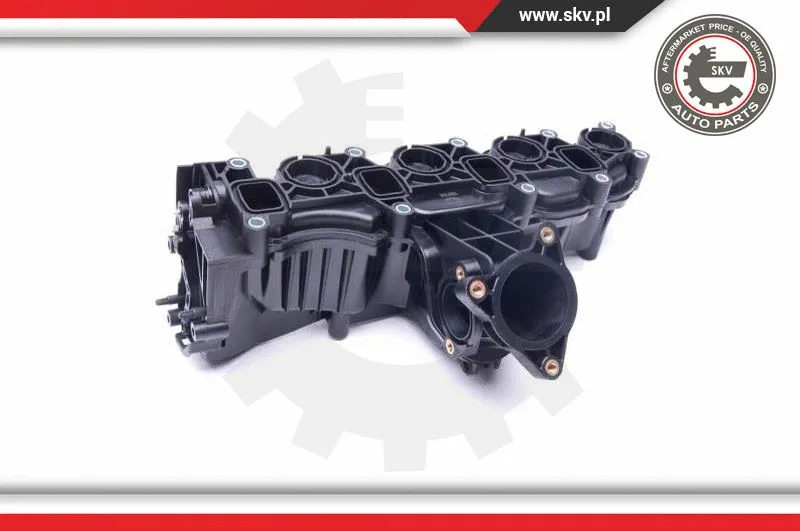 Intake Manifold Module