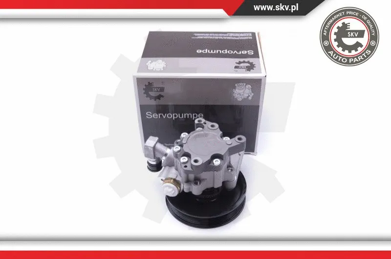Hydraulic Pump, steering (10SKV235)