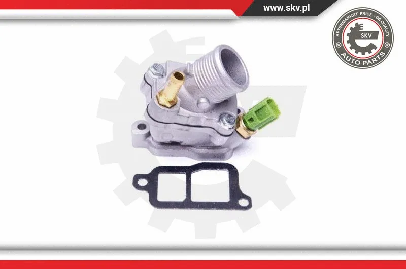 Thermostat, coolant