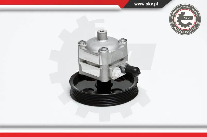 Hydraulic Pump, steering (10SKV028)