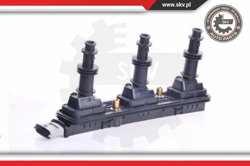 Ignition Coil (03SKV139)