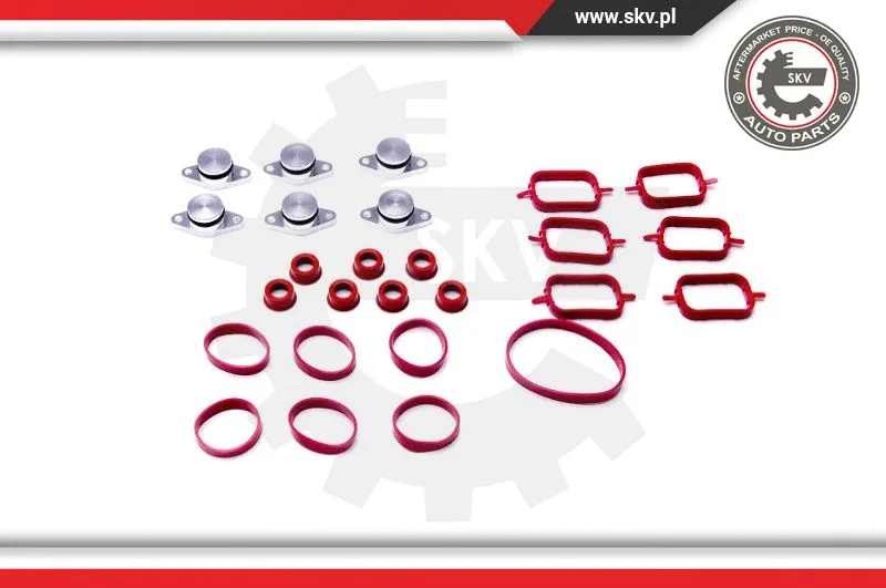 Gasket Set, intake manifold (96SKV052)