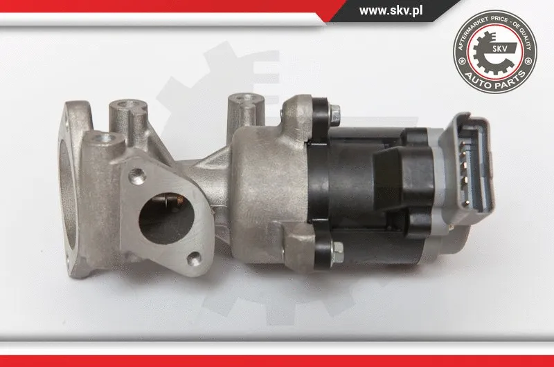 EGR Valve (14SKV066)