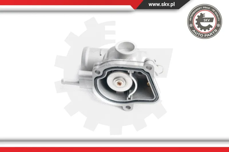 Thermostat, coolant (20SKV023)
