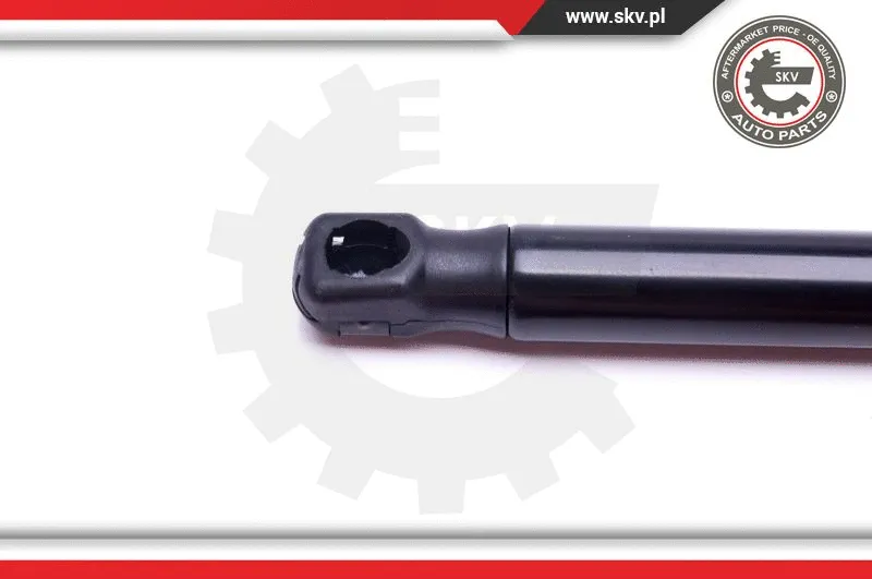 Gas Spring, boot/cargo area