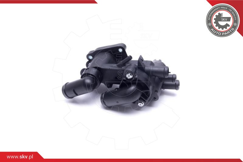 Thermostat, coolant