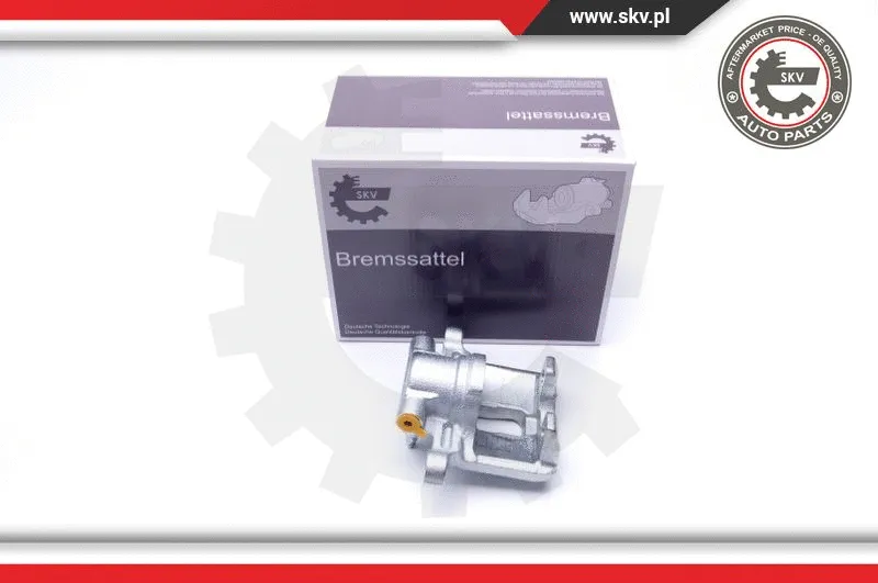 Brake Caliper (42SKV424)