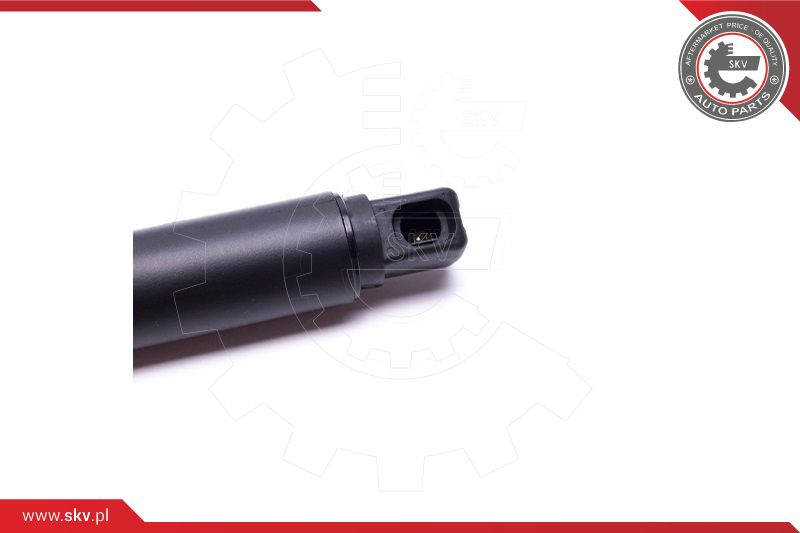 Gas Spring, boot/cargo area