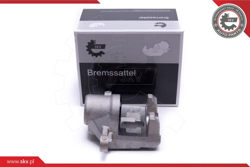 Brake Caliper (56SKV253)