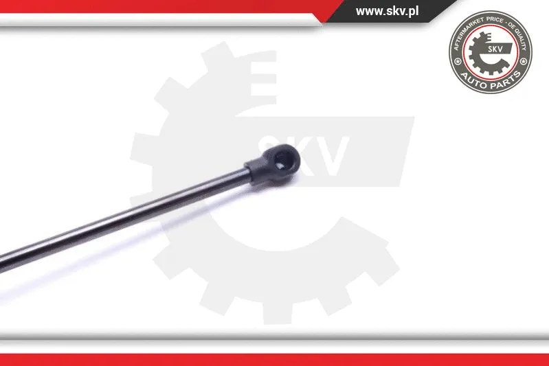 Gas Spring, boot/cargo area