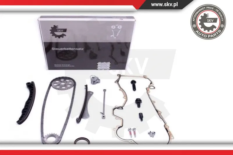 Timing Chain Kit (21SKV216)