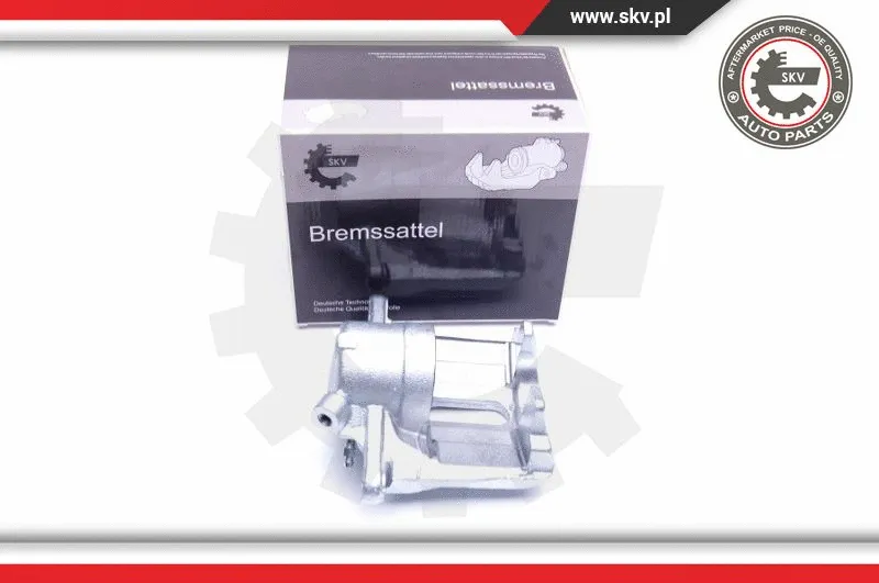 Brake Caliper (44SKV011)