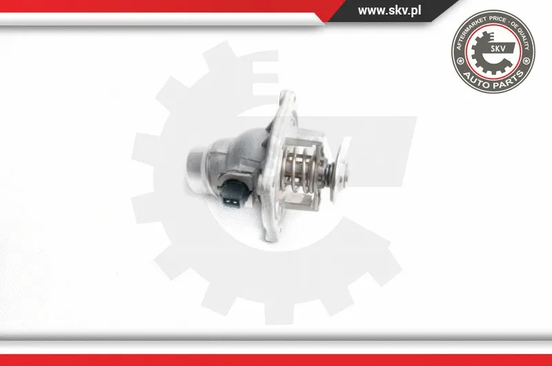 Thermostat, coolant