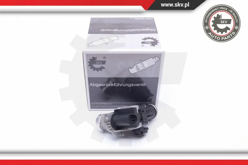 EGR Valve (14SKV185)