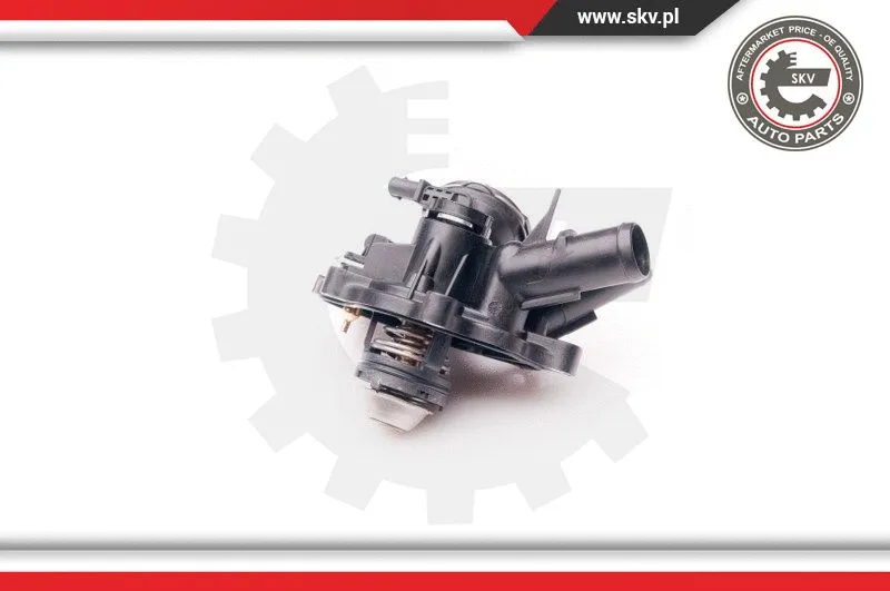Thermostat, coolant