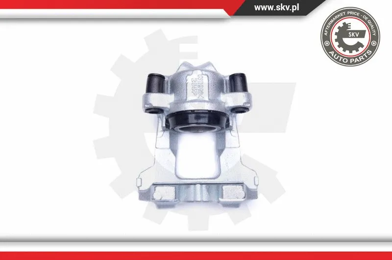 Brake Caliper (44SKV452)