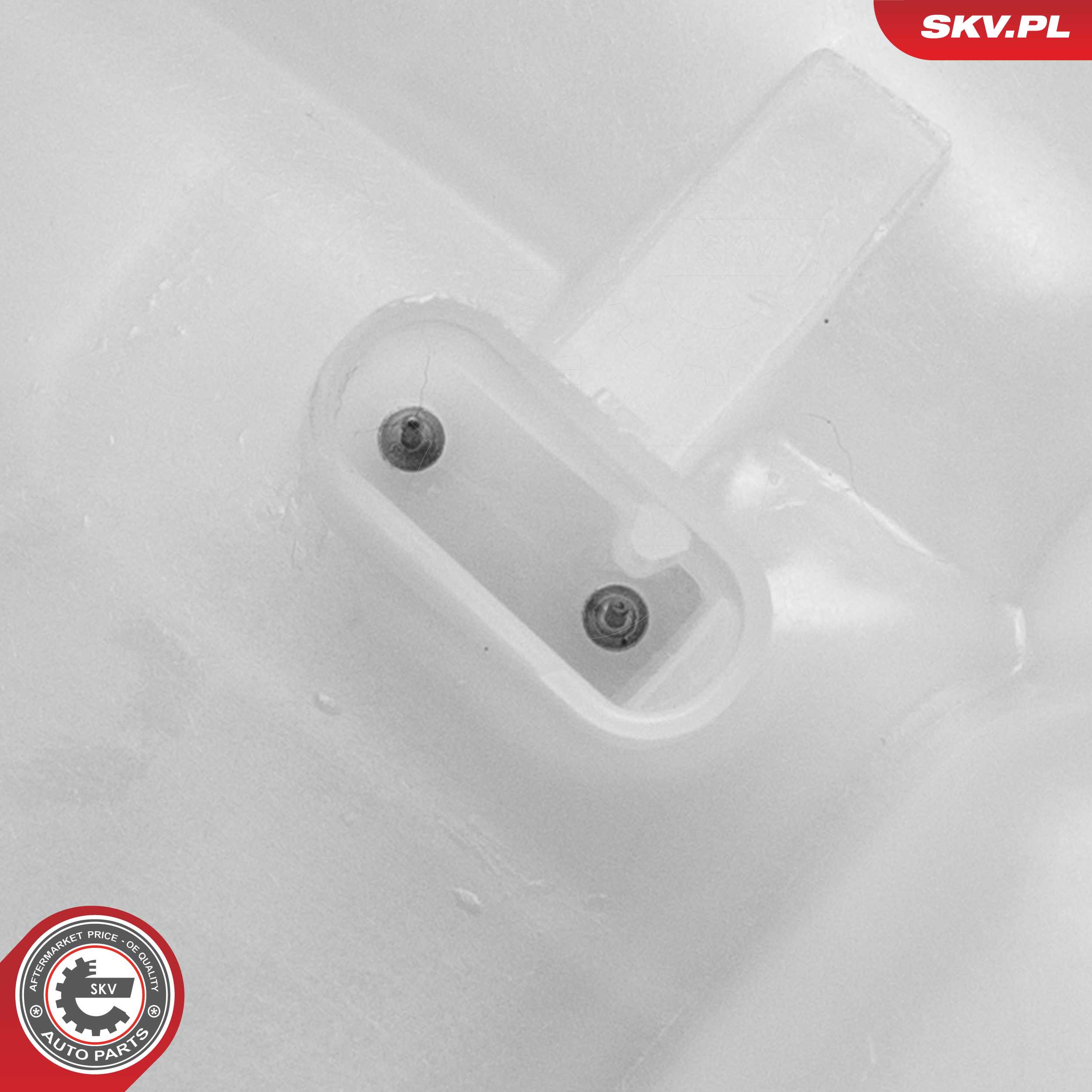 Expansion Tank, coolant