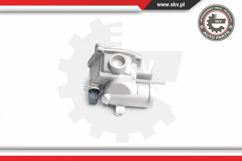 Thermostat, coolant