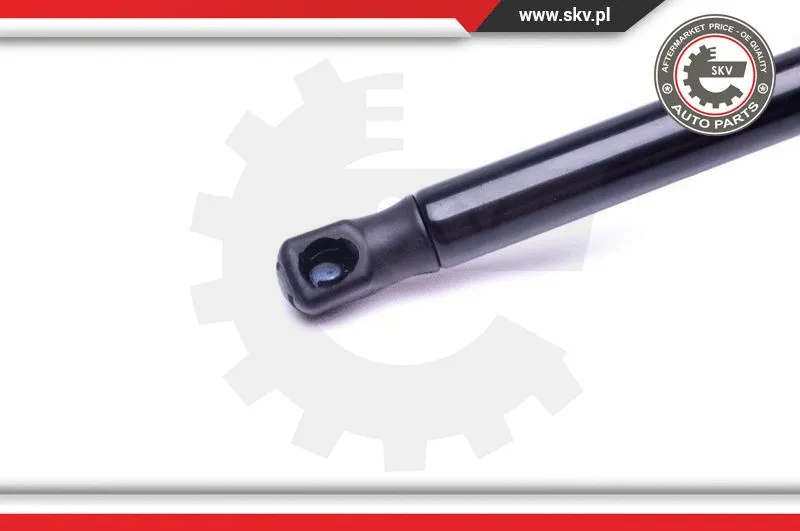 Gas Spring, boot/cargo area