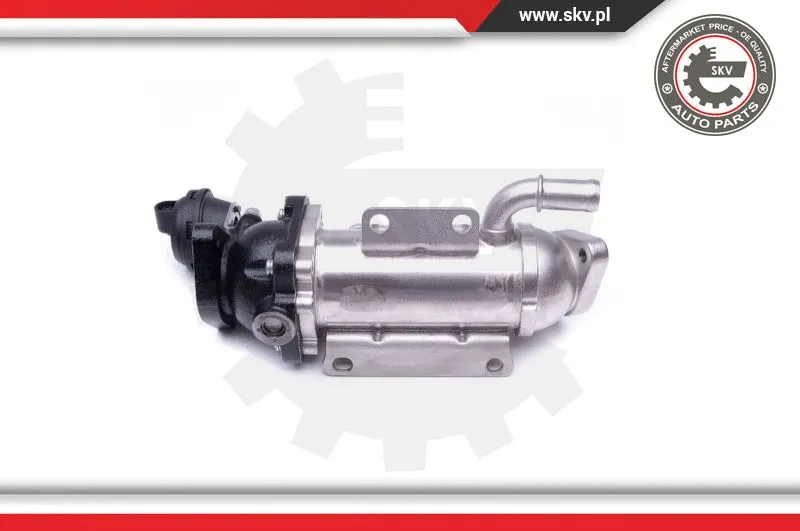 Cooler, exhaust gas recirculation