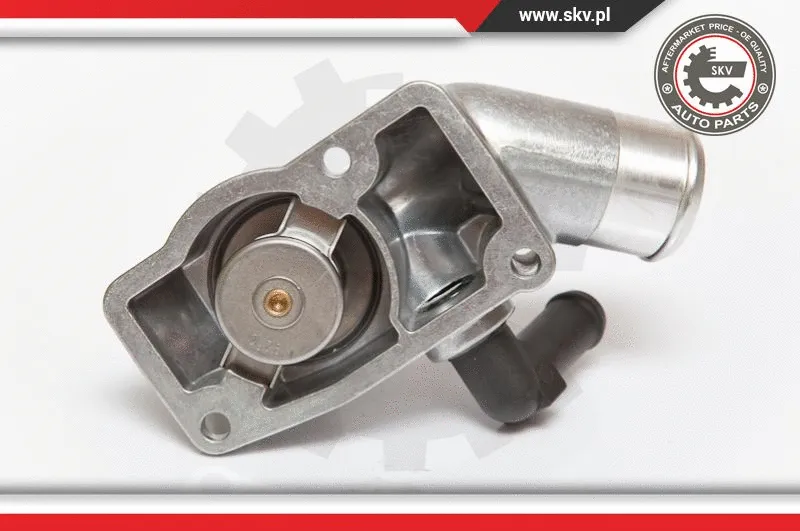 Thermostat, coolant