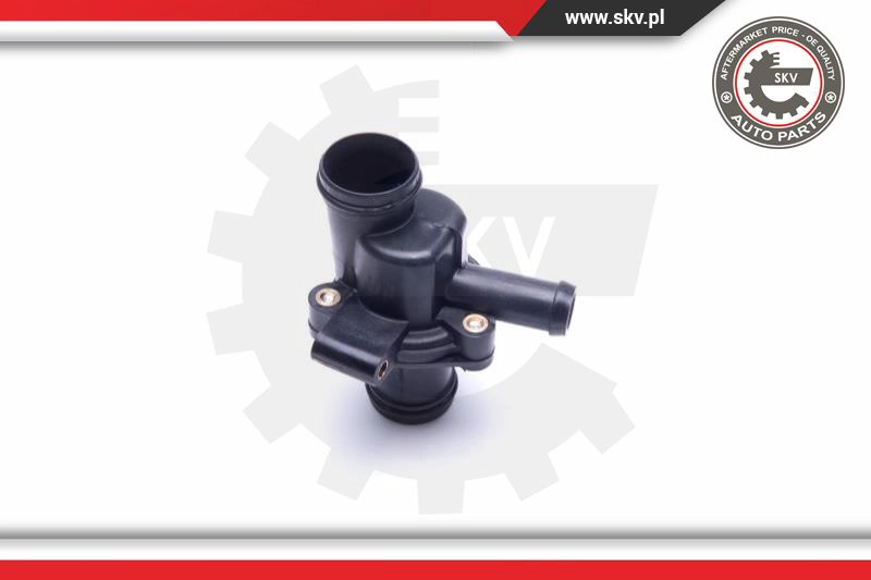 Thermostat, coolant