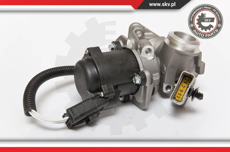 EGR Valve