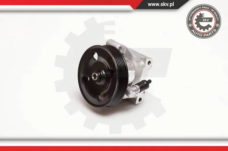 Hydraulic Pump, steering (10SKV001)