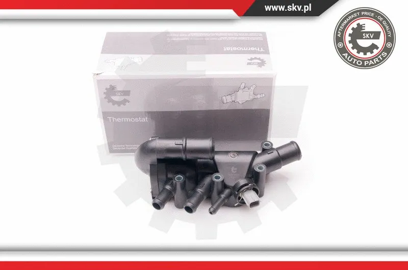 Thermostat, coolant (20SKV066)