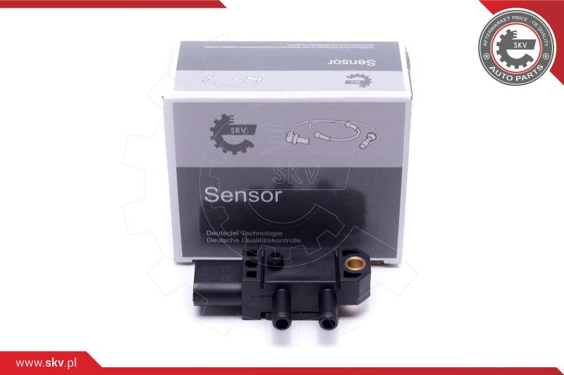 Sensor, exhaust pressure (17SKV782)