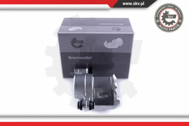 Brake Caliper (55SKV291)