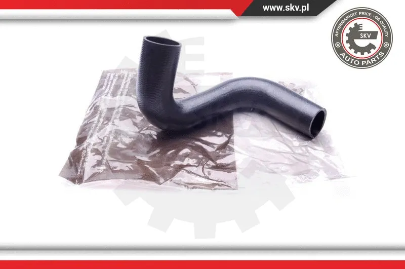 Charge Air Hose (43SKV065)