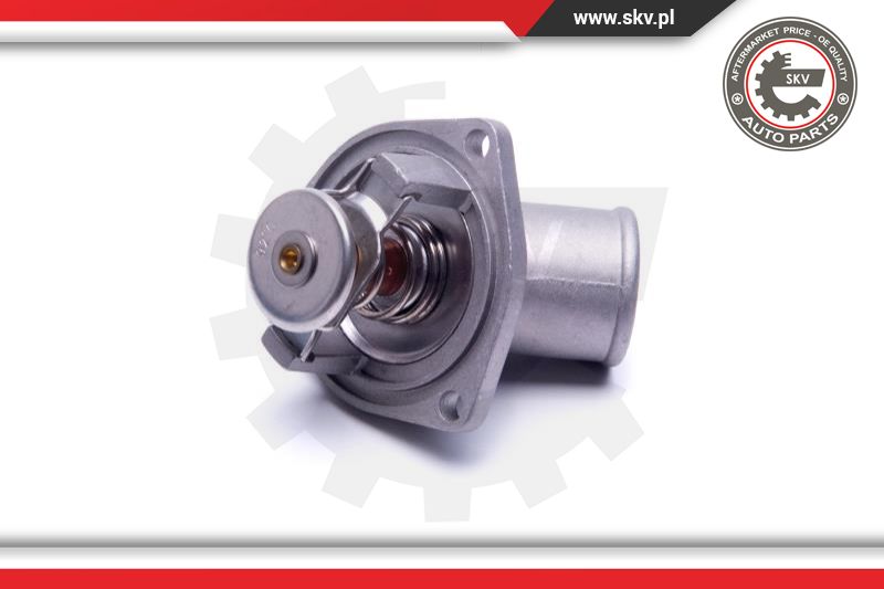 Thermostat, coolant