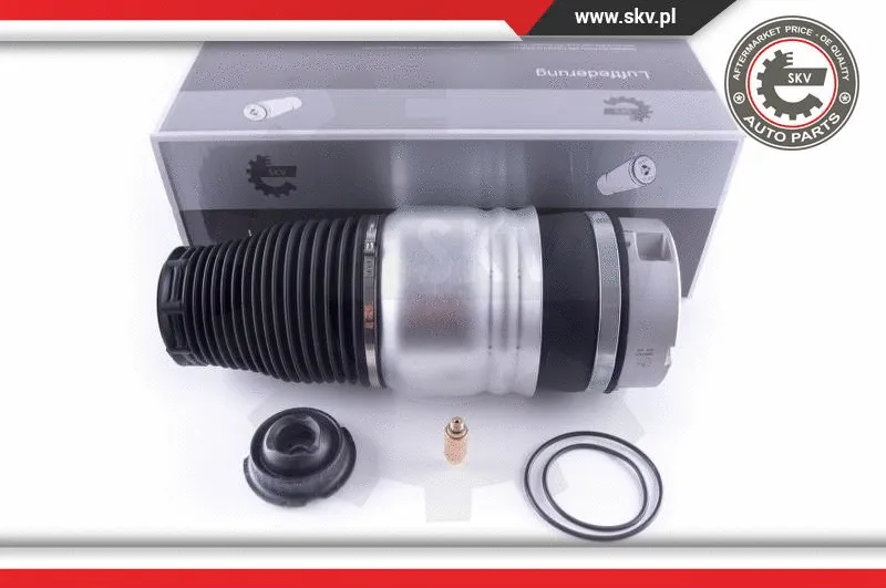 Air Spring, suspension (58SKV036)
