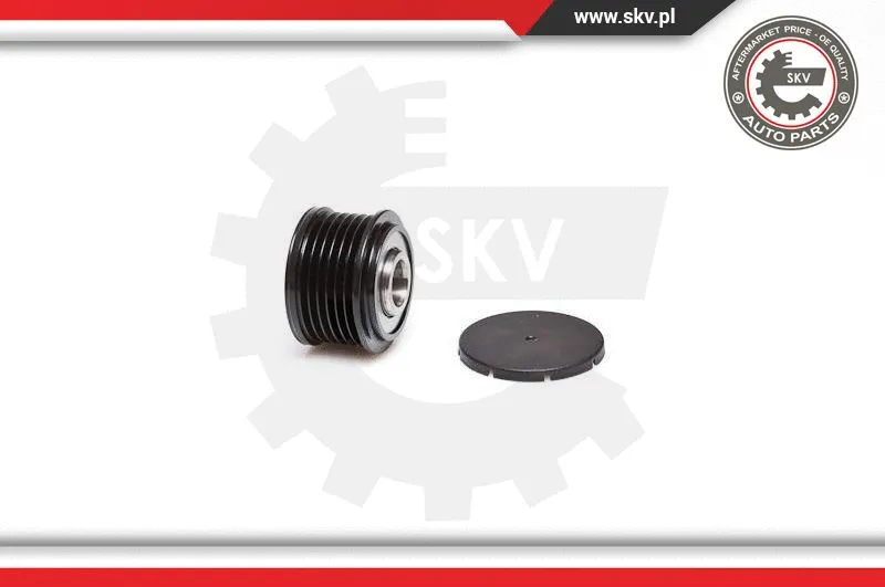 Alternator Freewheel Clutch (11SKV039)