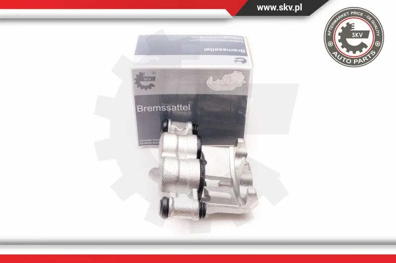 Brake Caliper (23SKV406)
