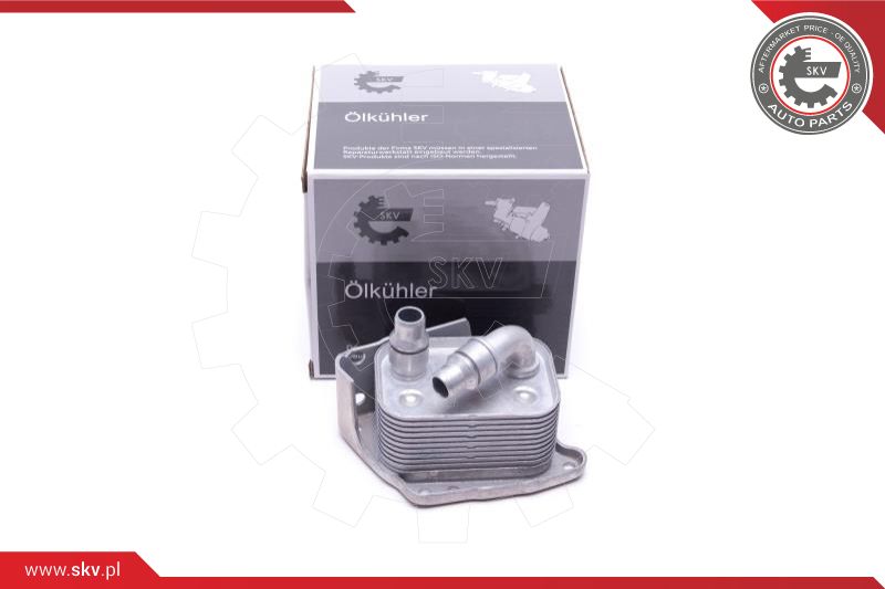 Oil Cooler, engine oil (31SKV223)
