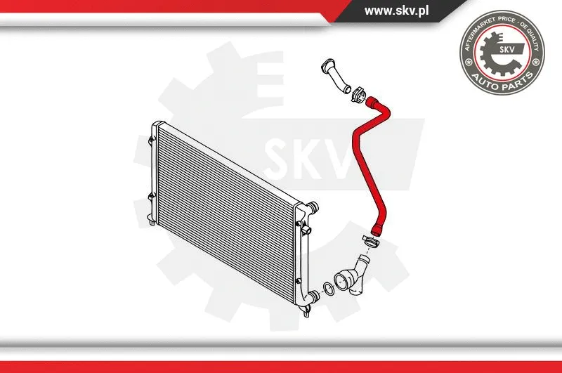 Radiator Hose (24SKV353)