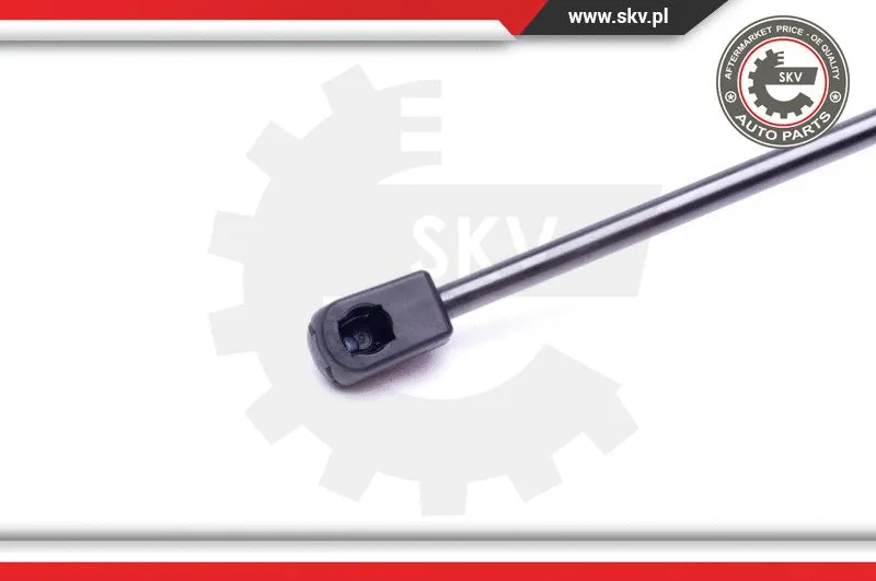 Gas Spring, boot/cargo area